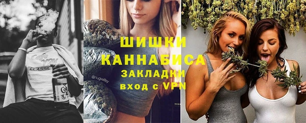 ПСИЛОЦИБИНОВЫЕ ГРИБЫ Бородино