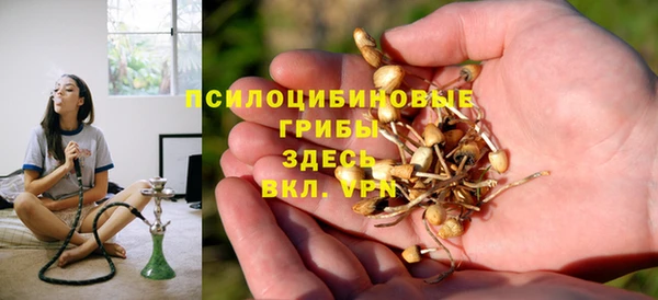 PSILOCYBIN Волоколамск