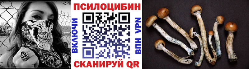 Псилоцибиновые грибы прущие грибы  Дятьково 